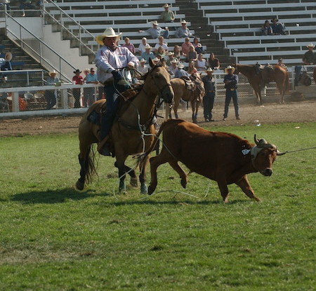 BJ Campbell Roping in a stadium